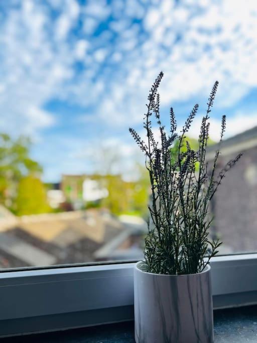 Charmant Petit Appartement. 列日 外观 照片