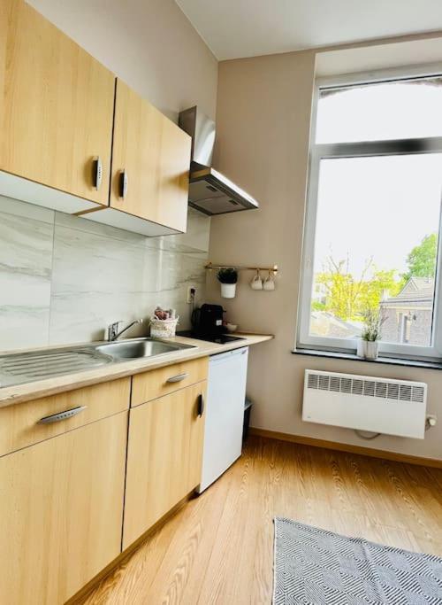 Charmant Petit Appartement. 列日 外观 照片