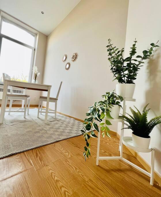 Charmant Petit Appartement. 列日 外观 照片